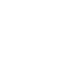 Logo Icon
