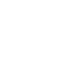 Logo Icon